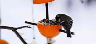 Фото з соцмереж