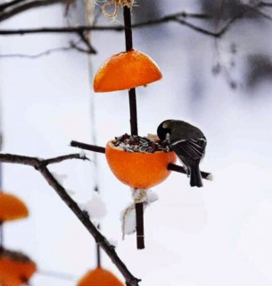 Фото из соцсетей