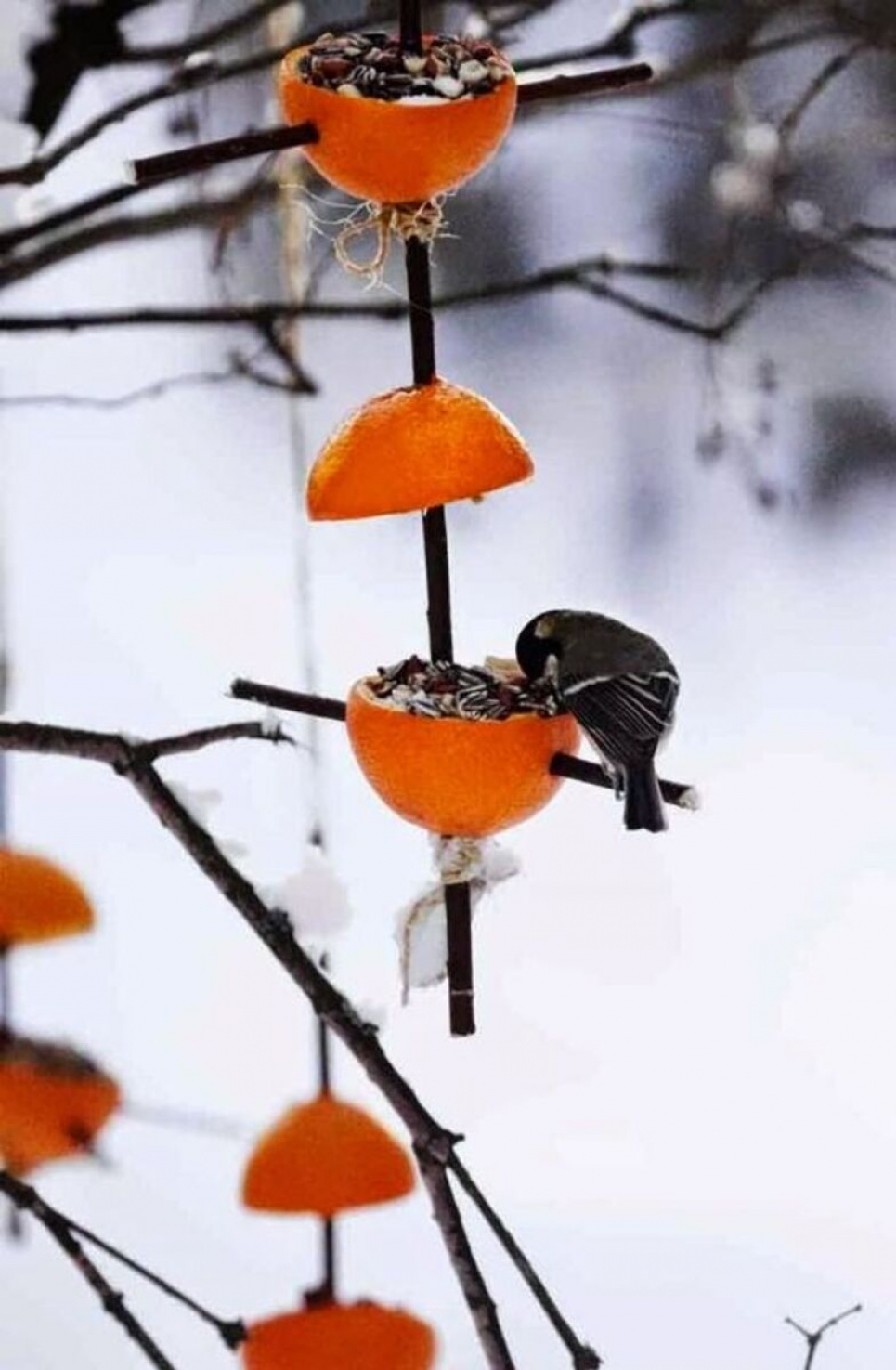 Фото з соцмереж