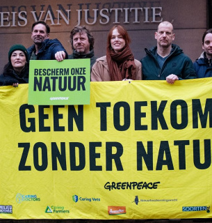 Співробітники Greenpeace перед Палацом правосуддя в Гаазі з плакатом «Немає майбутнього без природи» та зеленими табличками з написом «Захистіть нашу природу». Скріншот відео від Marten van Dijl / Greenpeace