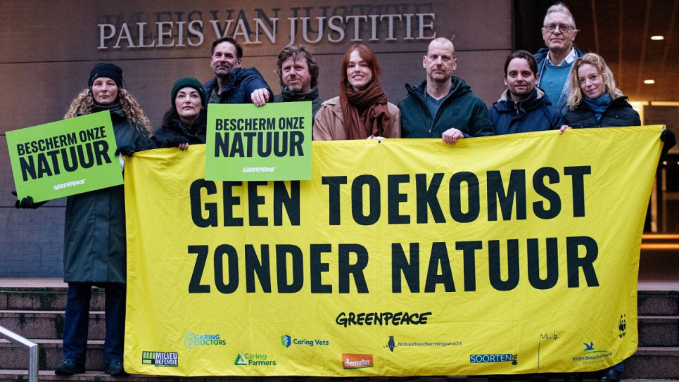 Співробітники Greenpeace перед Палацом правосуддя в Гаазі з плакатом «Немає майбутнього без природи» та зеленими табличками з написом «Захистіть нашу природу». Скріншот відео від Marten van Dijl / Greenpeace