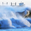 Фото: Owen Humphreys/PA Wire/dpa/picture alliance