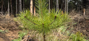 Фото иллюстративное