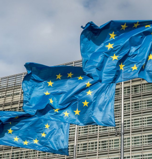 Единство в разнообразии: почему европейский путь — это не только политика, но и ценности 1 ноября — день рождения Европейского Союза