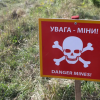 Внаслідок війни майже 1 млн га лісів і земель в Україні виявилися замінованими. Фото: Oleksandr Klymenko/Avalon.red/IMAGO
