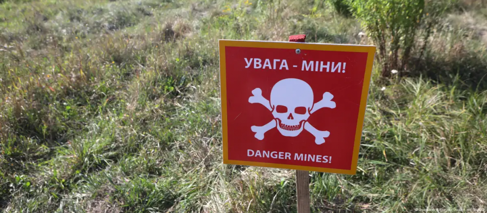 Німецькі науковці збирають сліди екоциду в Україні для суду в Гаазі Внаслідок війни майже 1 млн га лісів і земель в Україні виявилися замінованими. Фото: Oleksandr Klymenko/Avalon.red/IMAGO