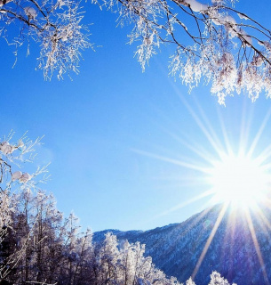 Весна 2026 в Україні: раннє тепло і погодні «гойдалки»