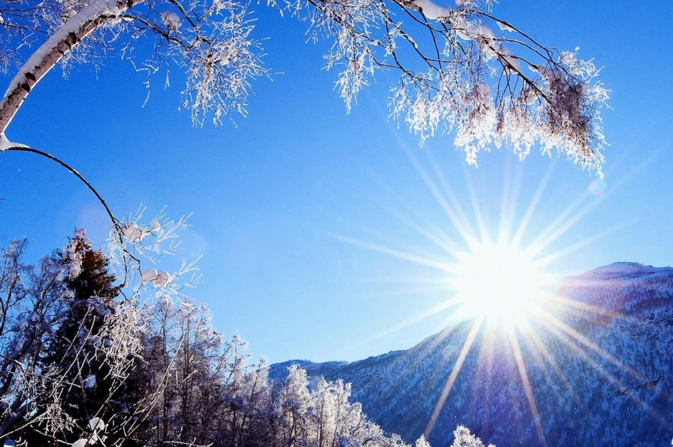 Весна 2026 в Украине: раннее тепло и погодные «качели»