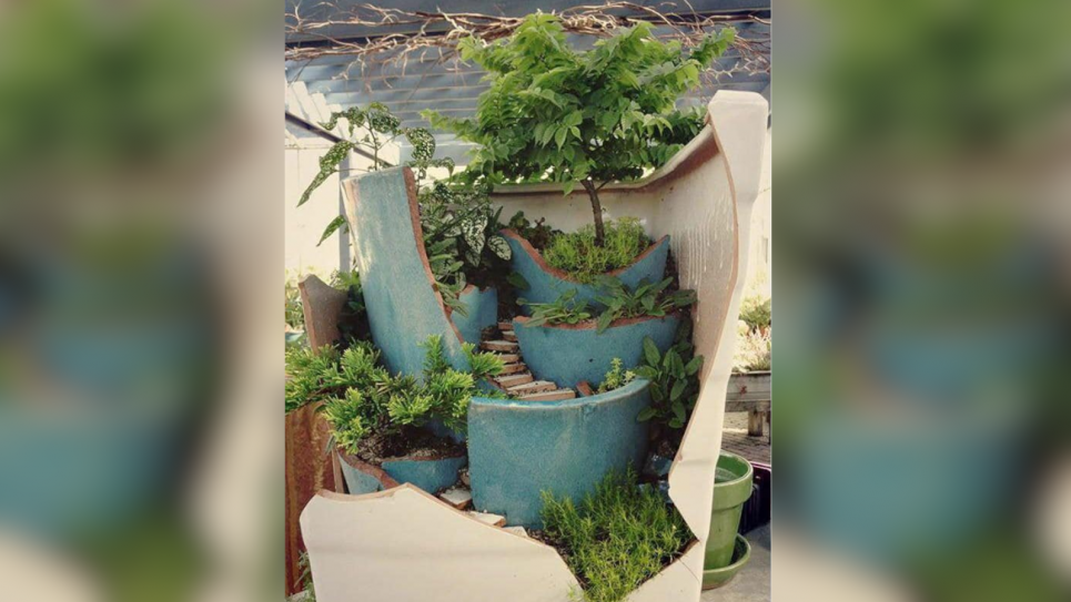 Мобільний сад у горщику: чарівний куточок природи на мінімальному просторі (ФОТО) Фото з соцмереж