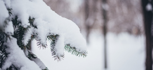 В Украину возвращаются снегопады: какой будет погода с 15 марта Прогноз погоды: снегопады возвращаются в Украину с 15 марта несмотря на плюсовую температуру