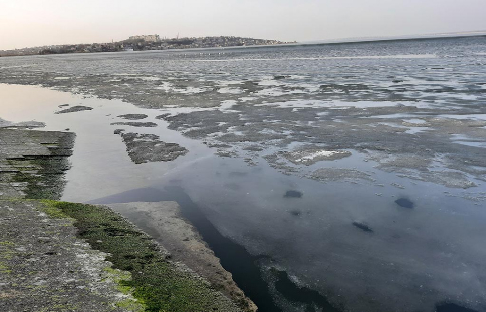 В Хаджибейском лимане зафиксировали активный рост кормовой базы для рыб Состояние Хаджибейского лимана: зафиксирован активный рост кормовых организмов