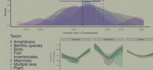 Экосистемы демонстрируют рекордную скорость изменений из-за климатических колебаний Исследование Nature: экосистемы меняются быстрее, чем ожидалось. Malin Pinsky et al. / Nature
