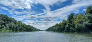 Відновлені заплави здатні поглинати вуглець: дослідження WWF доводить їхню критичну роль у пом’якшенні наслідків зміни клімату. Фото: Szilvia Ádám