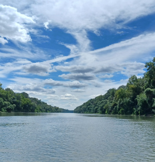 Відновлені заплави здатні поглинати вуглець: дослідження WWF доводить їхню критичну роль у пом’якшенні наслідків зміни клімату. Фото: Szilvia Ádám