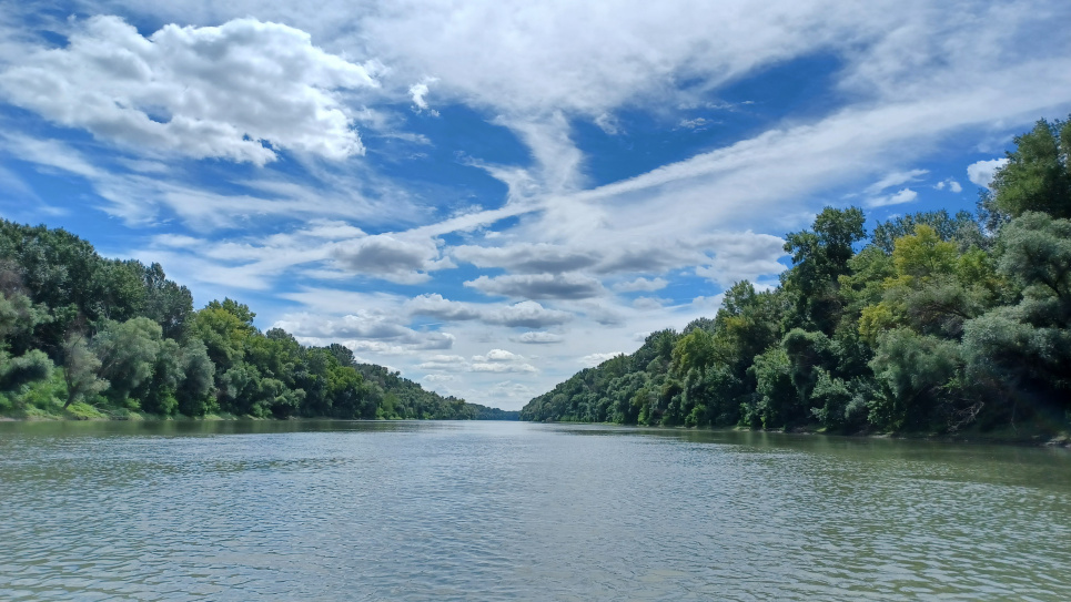 Відновлені заплави здатні поглинати вуглець: дослідження WWF доводить їхню критичну роль у пом’якшенні наслідків зміни клімату. Фото: Szilvia Ádám