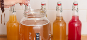 День комбучи: польза для организма и правила употребления