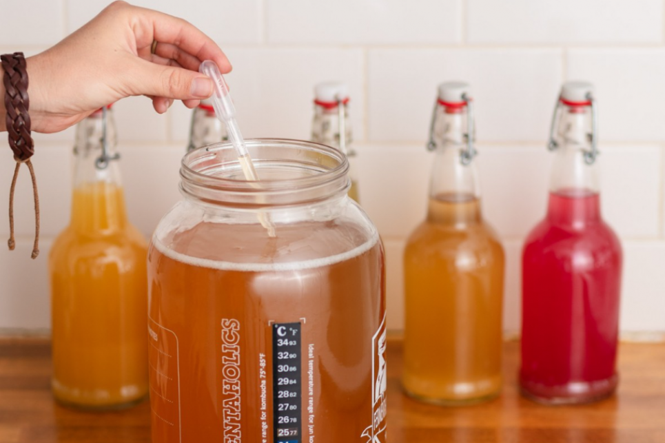 День комбучі 2026: користь для організму та правила вживання