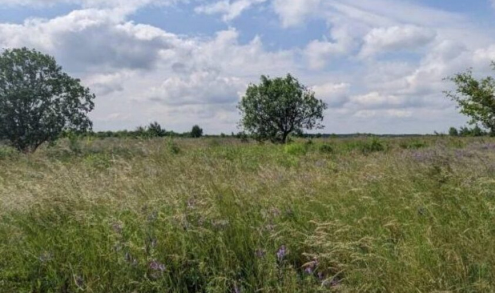 У Львові розробили схему екологічної мережі Фото: ілюстративне / Львівська міськрада