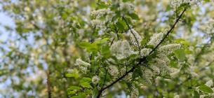 Синоптики прогнозируют аномально сухую весну в Украине Прогноз погоды на весну 2025: в Украине будет тепло и сухо