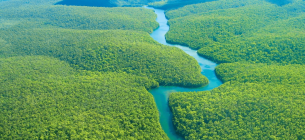 Фото: тропические леса Амазонки / ЕРА