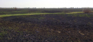 Фото: WWF-Україна