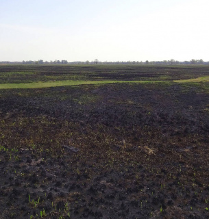 Рятувальники Одещини попереджають про високу пожежну небезпеку влітку Фото: WWF-Україна