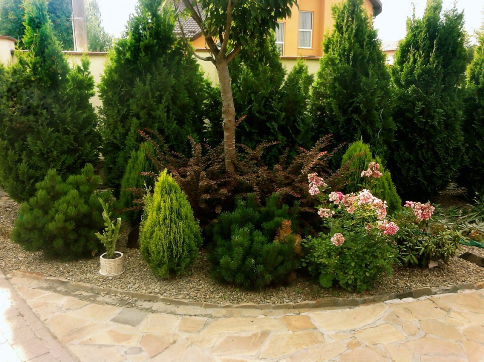 Створення рослинних композицій у саду: як поєднати кольори та форми — прості й практичні поради Фото: Moysad