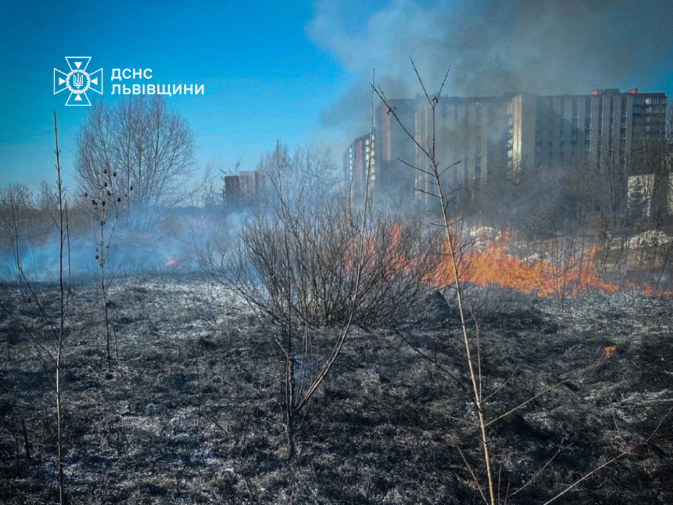 Мін'юст нагадав про систему штрафів за спалювання сухостою і пожежі в лісі Фото: ілюстративне / ДСНС