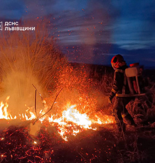 Фото: пожежа внаслідок підпалу сухої трави / ДСНС