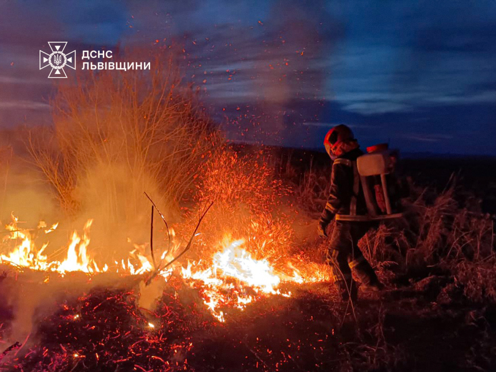 На Львівщині лише за тиждень виявили 51 палія сухої трави Фото: пожежа внаслідок підпалу сухої трави / ДСНС