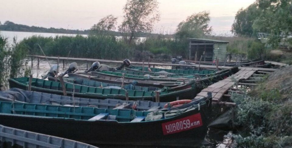 Вилківський рибзавод не отримав дозвіл на вилов дунайського оселедця. Фото: Південь.Сьогодні