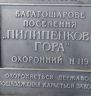 Суд скасував приватизацію земельної ділянки з археологічною пам'яткою "Пилипенкова гора" у Каневі