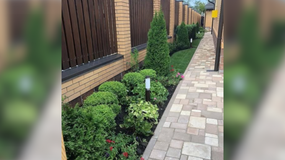 Оформлення території біля паркану — ідеї й лайфхаки Фото: «Ландшафтний дизайн»