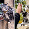 Фото: SCMP composite/Douyin