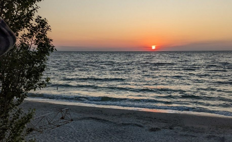 Екологічний стан одеських пляжів: результати перевірки Моніторинг пляжів Одеси: наявність нафтопродуктів