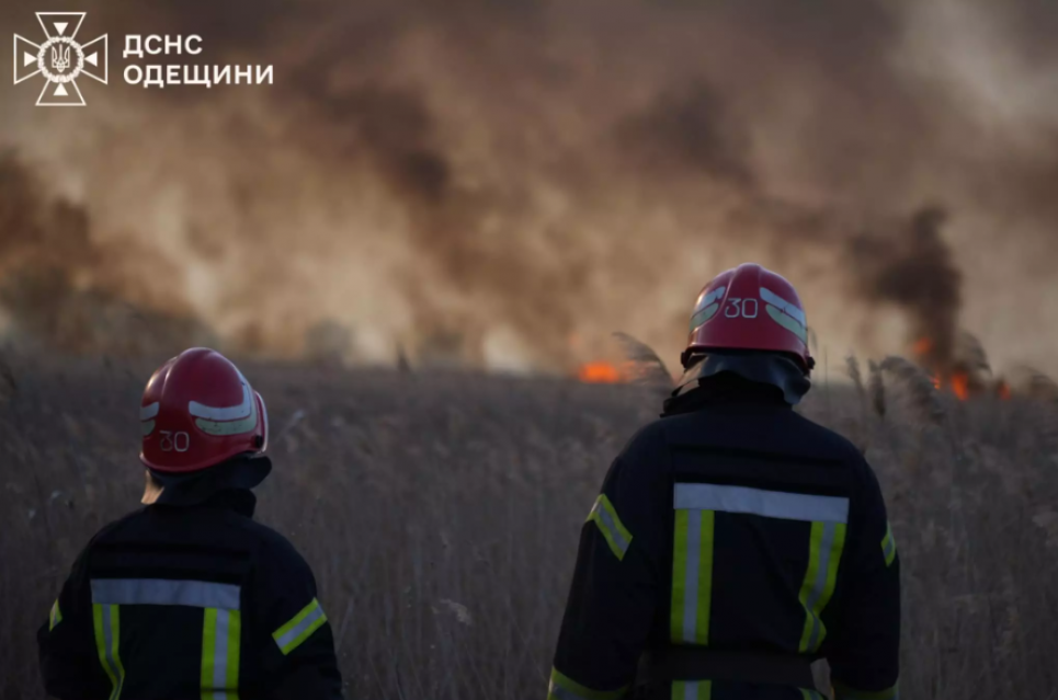 Масштабна пожежа в Одеській області: понад 10 га охоплено вогнем. Фото: ДСНС Одещини