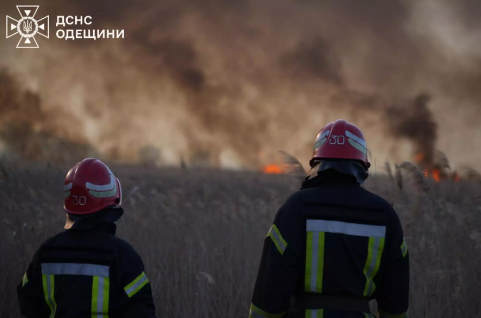 Масштабна пожежа в Одеській області: рятувальники борються з вогнем на території нацпарку (ФОТО) Масштабна пожежа в Одеській області: понад 10 га охоплено вогнем. Фото: ДСНС Одещини