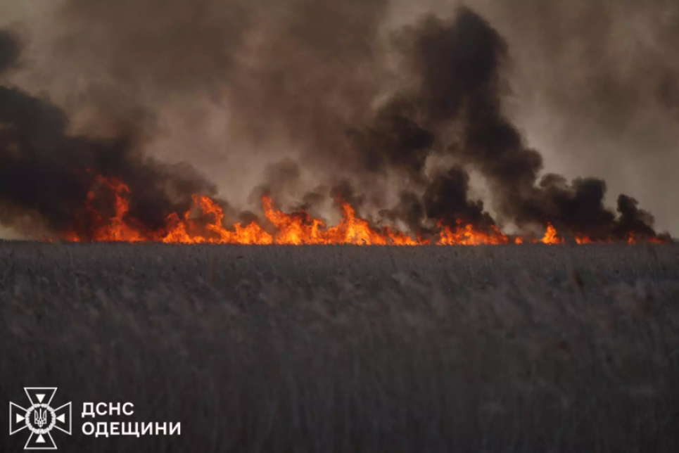 На території Дунайського біосферного заповіднику вигоріло 420 га очерету Фото: масштабна пожежа в Одеській області / ДСНС