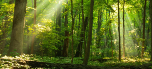 Фото: иллюстративное / sdg.iisd.org