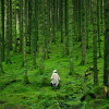 Фото ілюстративне / sdg.iisd.org
