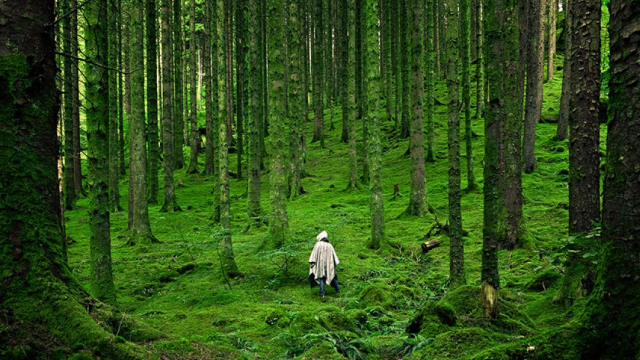 Фото ілюстративне / sdg.iisd.org