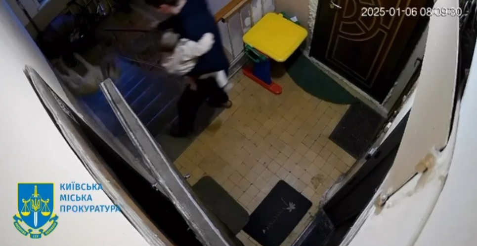 Киянина засуджено до 7,5 років за жорстоке вбивство собаки У Києві чоловіка засуджено до 7,5 років за жорстоке поводження з собакою