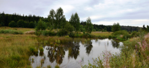 Фото: иллюстративное