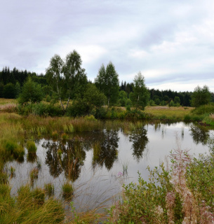 Всесвітній день водно-болотних угідь 2 лютого