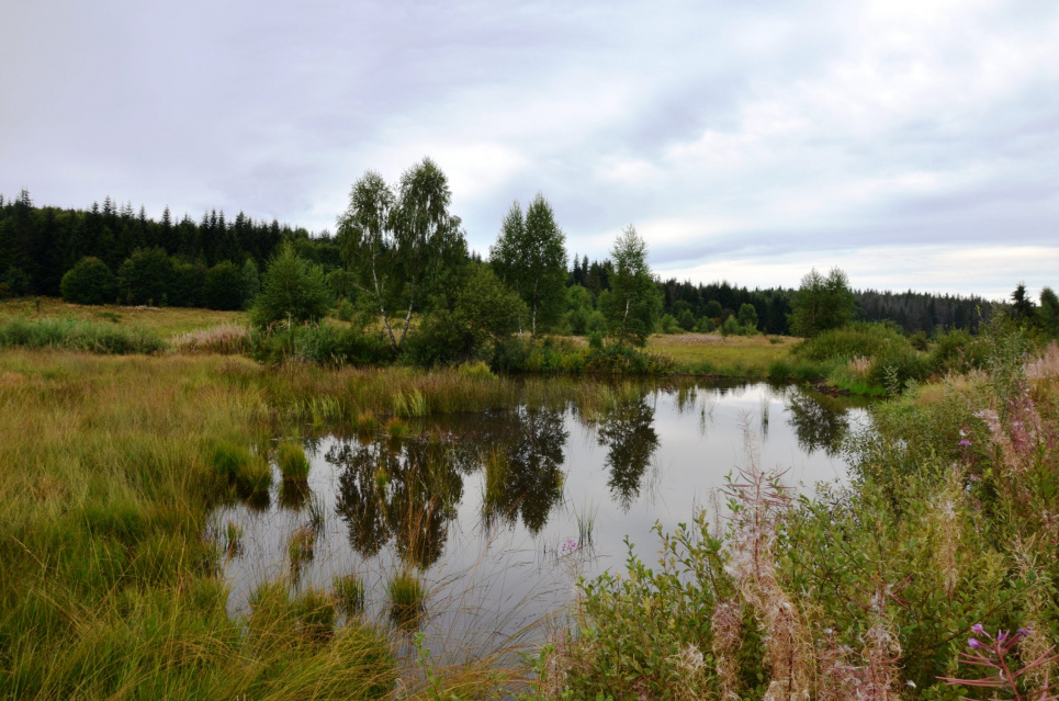 Всемирный день водно-болотных угодий 2 февраля