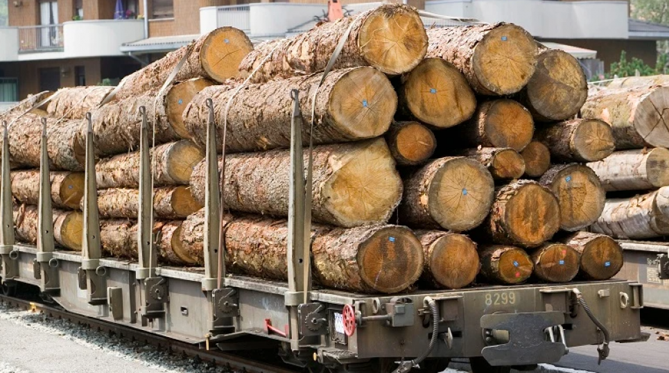 Комитет работает над увеличением лесозаготовок и стратегией развития рынка древесины Мораторий на экспорт древесины продлен до конца 2026 года