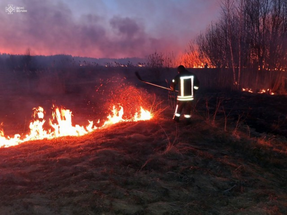 На Волині вигоріло понад 5 гектарів сухостою На Волині вигоріло понад 5 гектарів сухостою