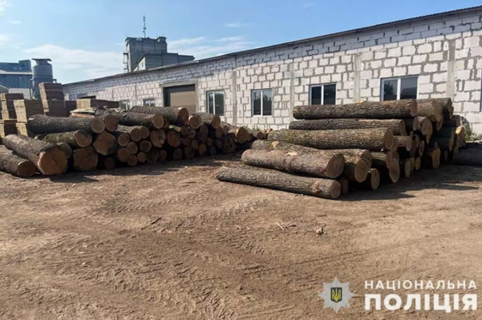 Более 3,3 миллиона убытков: на Тернопольщине разоблачена организованная группа "черных" лесорубов На Тернопольщине разоблачена преступная группа, которая незаконно вырубила дубы на 3,3 миллиона гривен. Фото: Нацполиция