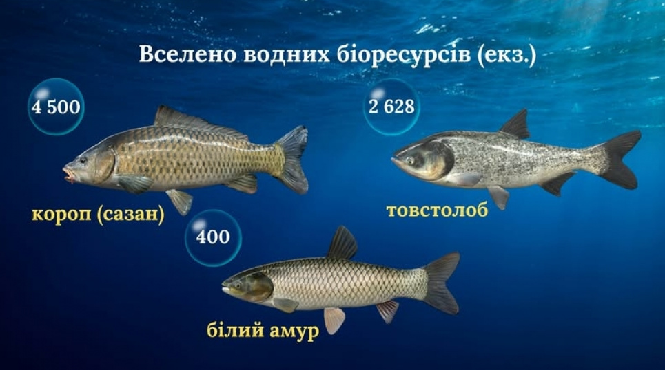 Річка Серет на Тернопільщині збагатилася понад 2 тоннами риби Річка Серет на Тернопільщині збагатилася понад 2 тоннами риби