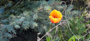 Погода 22 апреля: сухо и солнечно Погода 22 апреля: сухо и солнечно